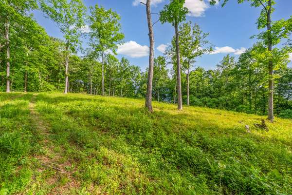 164 Lewis Cir, Dover, TN, 37058